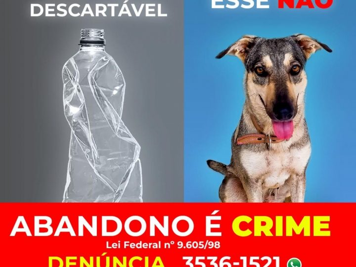 Ariquemes: Prefeitura lança campanha contra o abandono e maus-tratos de animais