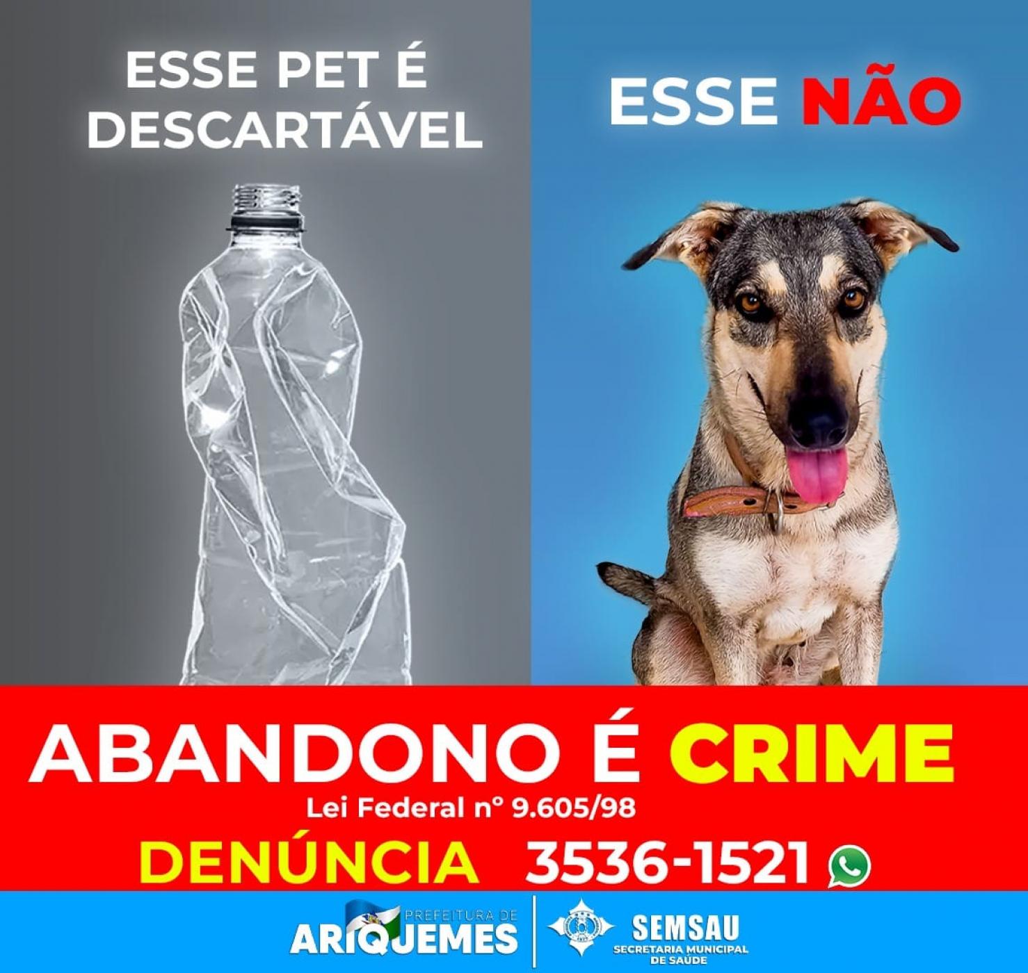 Ariquemes: Prefeitura lança campanha contra o abandono e maus-tratos de animais