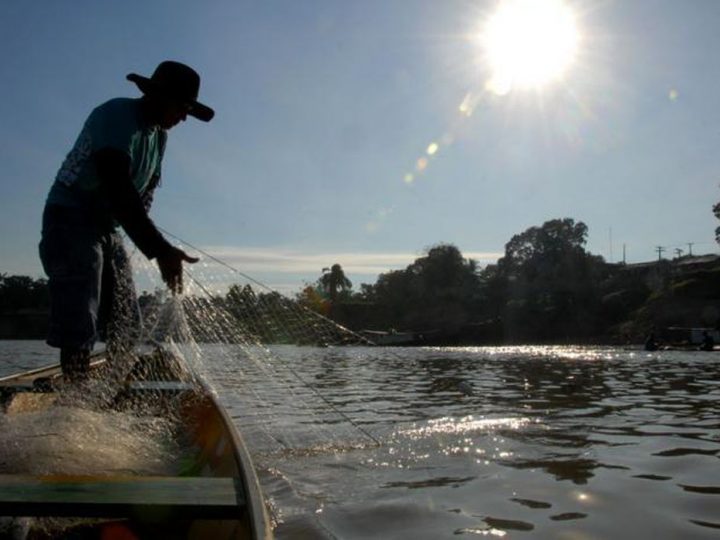 Entra em vigor período de defeso do cherne, peixe-batata e piramutaba