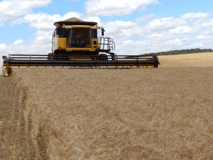 Ciência e tecnologia tornaram o Brasil um dos maiores produtores mundiais de alimentos