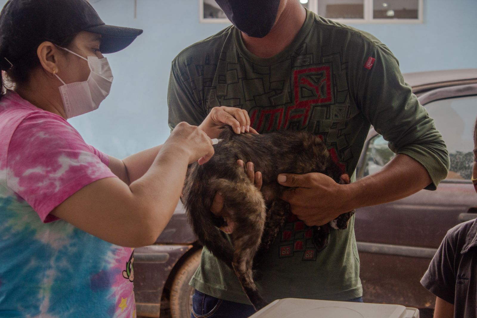 Porto Velho: Dia D para vacinar cães e gatos será amanhã