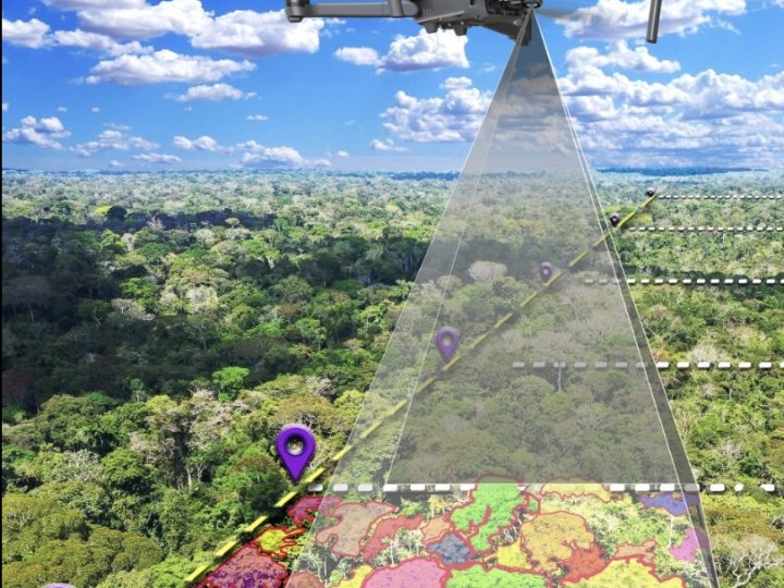 Geotecnologias vão fortalecer manejo florestal na Amazônia