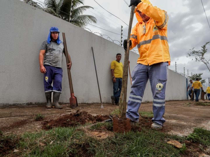 Porto Velho: Prefeitura fez substituição de espécies de plantas na avenida Farqhuar