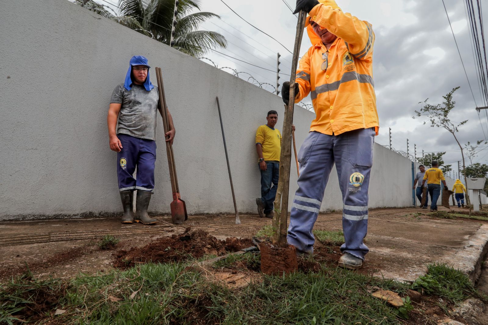 Porto Velho: Prefeitura fez substituição de espécies de plantas na avenida Farqhuar