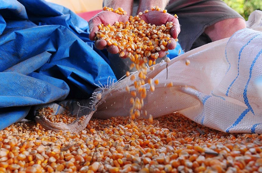 Sancionado autocontrole agropecuário