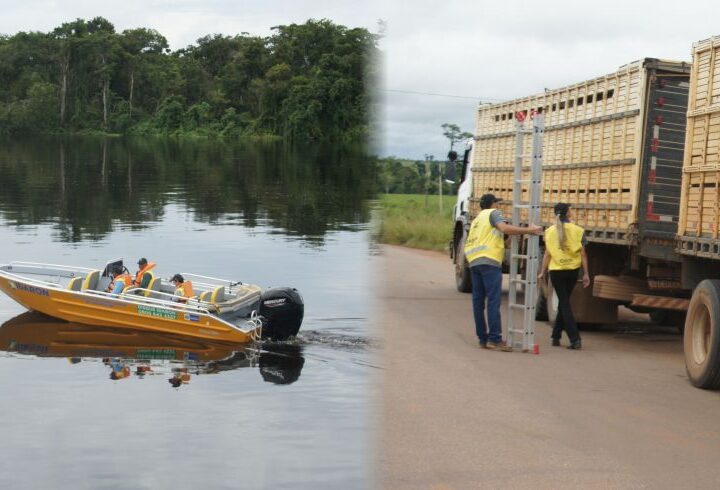 Idaron apoia operação do Mapa que intensifica fiscalização sanitária contra a influenza aviária na fronteira com a Bolívia