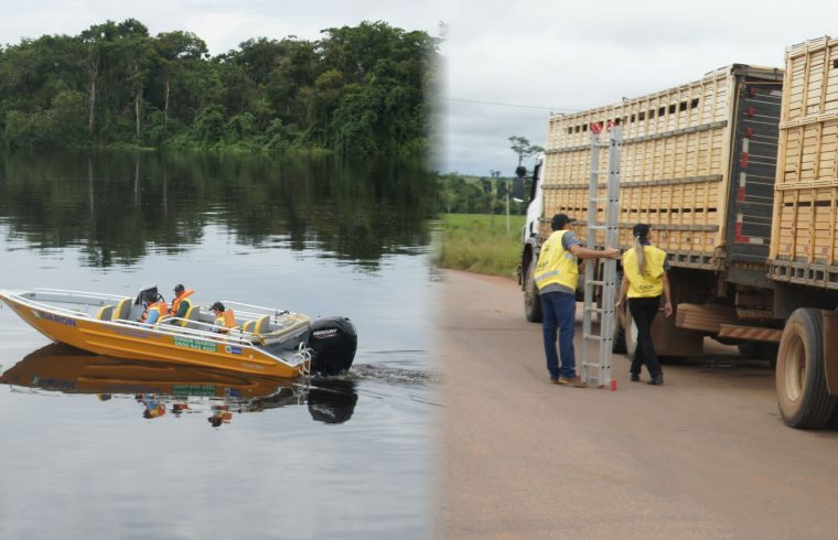 Idaron apoia operação do Mapa que intensifica fiscalização sanitária contra a influenza aviária na fronteira com a Bolívia