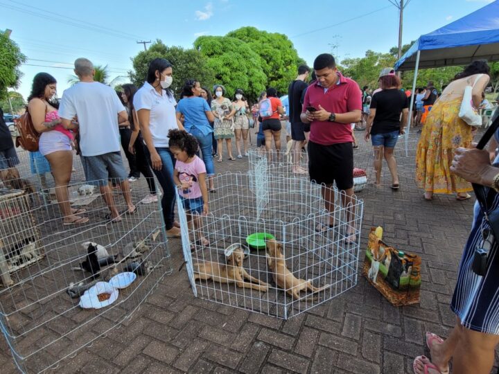 Porto Velho: Prefeitura realiza feira para adoção de pets no Parque da Cidade