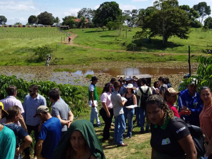 Jaru: Emater Rondônia leva assistência técnica em café clonal para produtores rurais