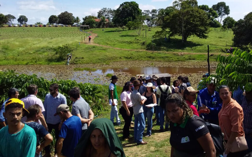 Jaru: Emater Rondônia leva assistência técnica em café clonal para produtores rurais