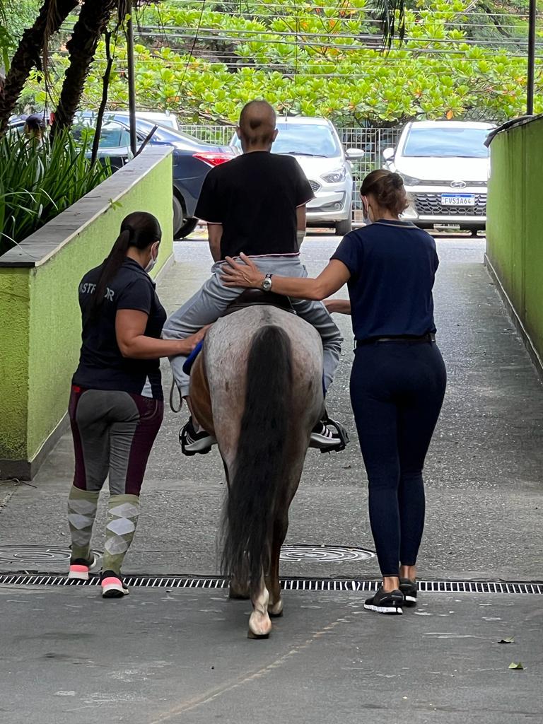 Pôneis e mini-horses contribuem com terapia de crianças com câncer em hospital