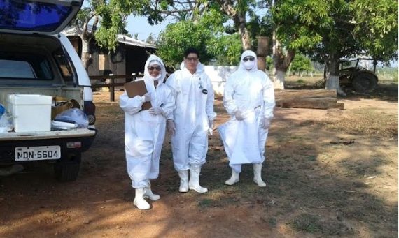 Ações de monitoramento de vigilância são reforçadas para eventuais casos suspeitos de febre maculosa