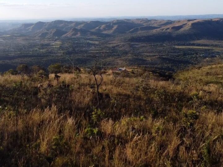 Preservação do Cerrado no DF é tema do Caminhos da Reportagem