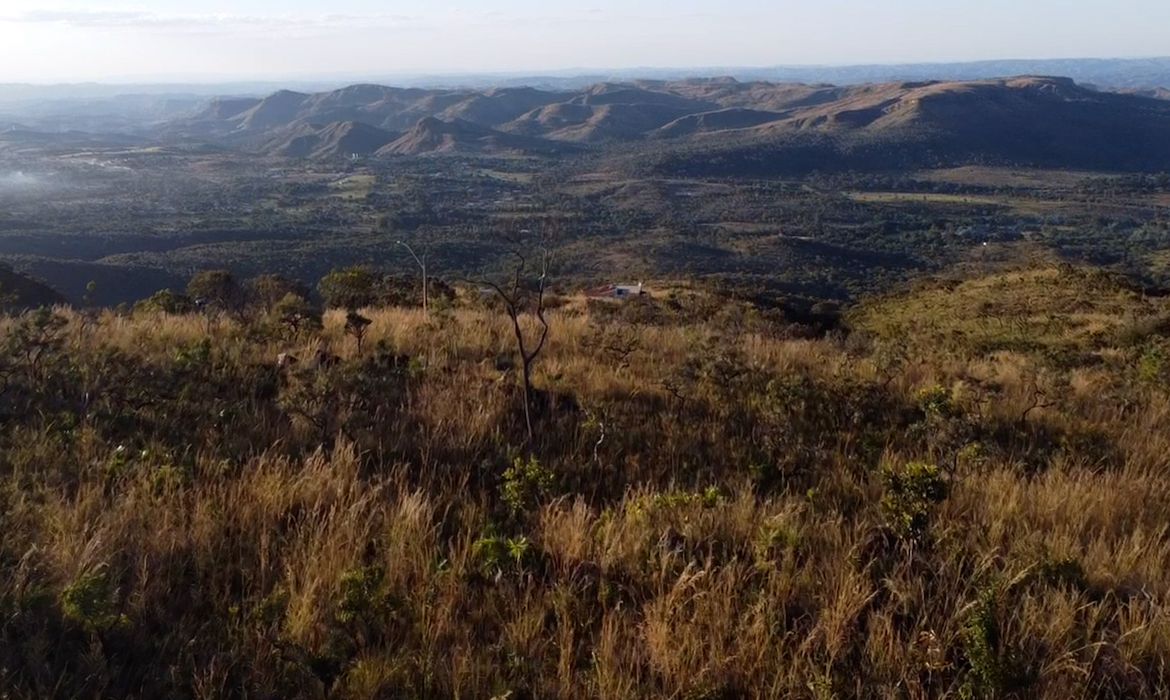 Preservação do Cerrado no DF é tema do Caminhos da Reportagem