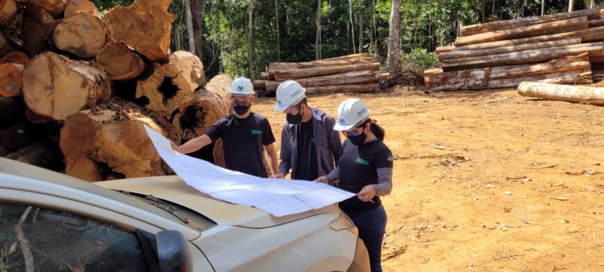 Planos de Manejo Florestal da Sedam garantem colheita florestal e reforçam a economia local