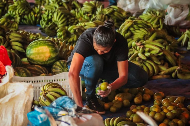 Ações da Emater em 2023 impulsionam a produção e fortalecem a agricultura familiar em Rondônia