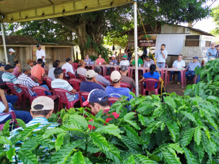 Medidas de desenvolvimento agropecuário avançam na assistência técnica às famílias rurais