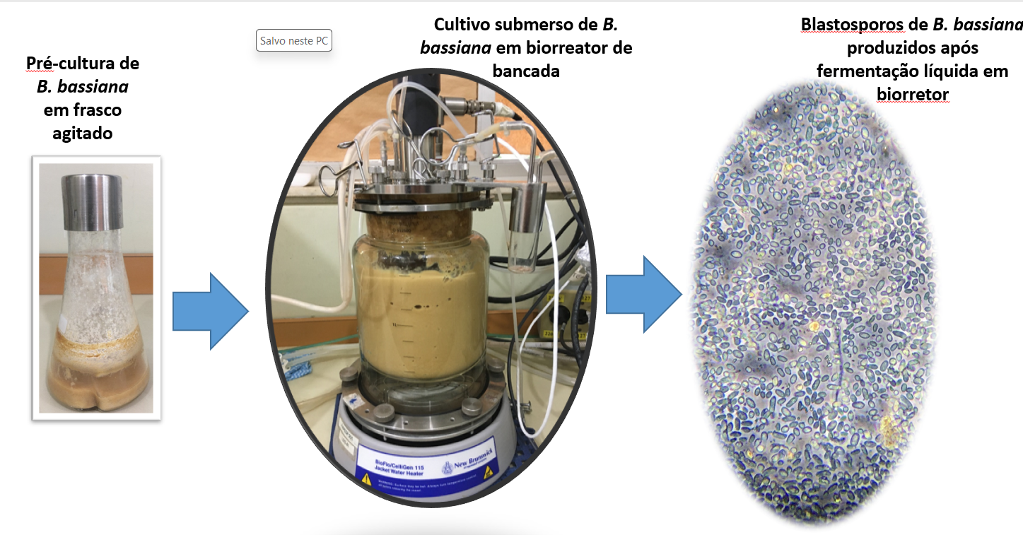 Descoberta pode contribuir com o controle biológico de pragas