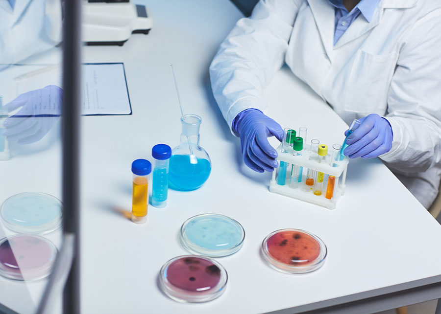 Uso de grupos de microrganismos é nova fronteira em bioinsumos
