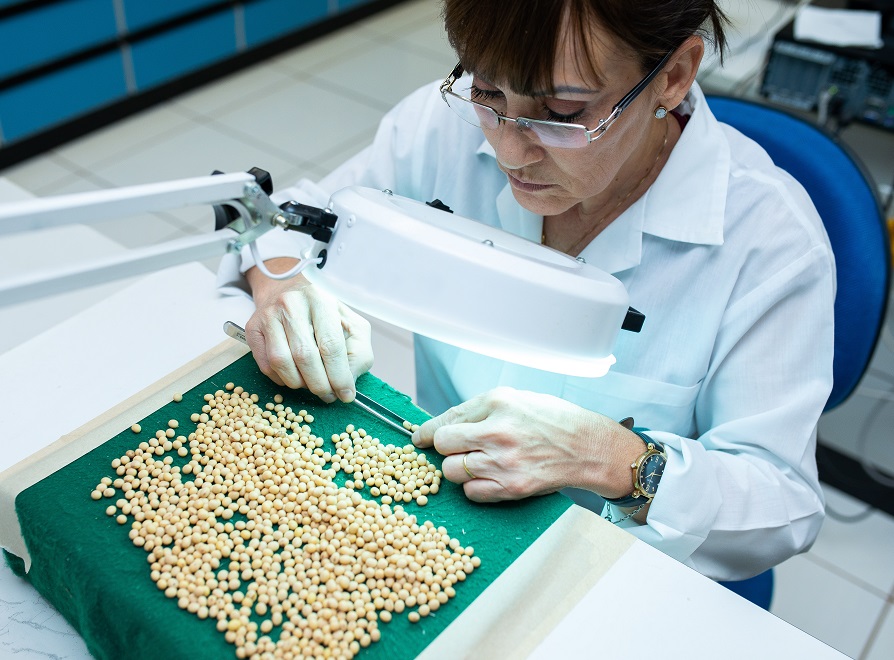 Curso sobre vigor de sementes em soja refina controle de qualidade