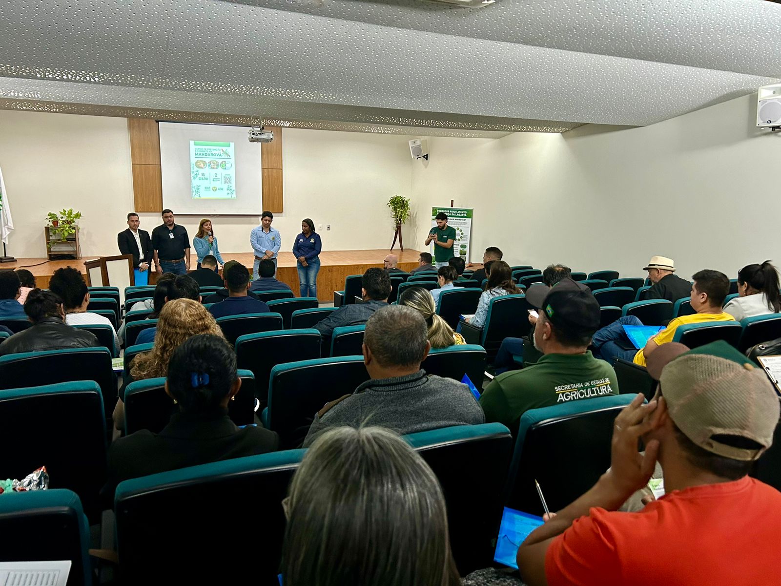 Mandarová da mandioca pode apresentar evolução na resistência a agroquímicos