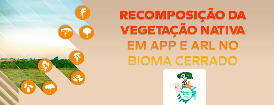 Serviço Florestal Brasileiro e Embrapa lança curso sobre recomposição da vegetação nativa