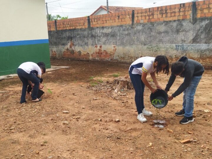 Ações de enfrentamento à crise hídrica do governo de RO envolvem estudantes da rede pública