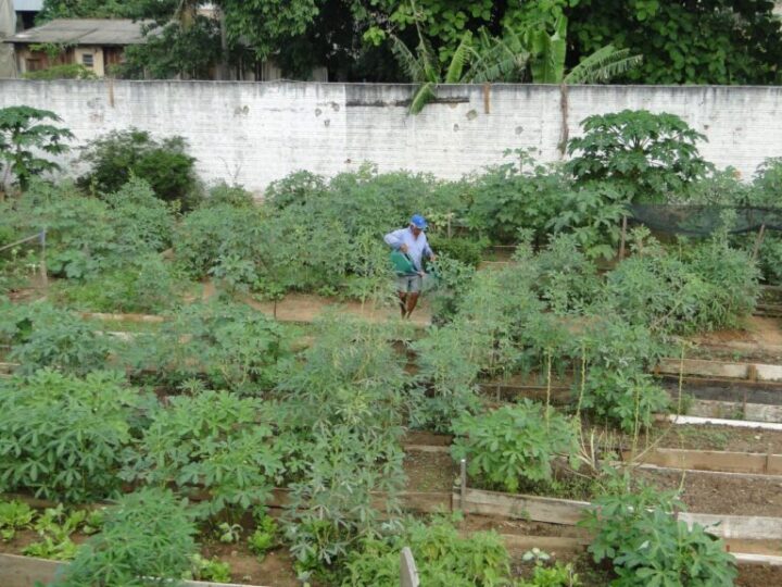 Governo de RO destaca a importância do agricultor no desenvolvimento econômico do estado e ressalta políticas públicas para o setor agropecuário