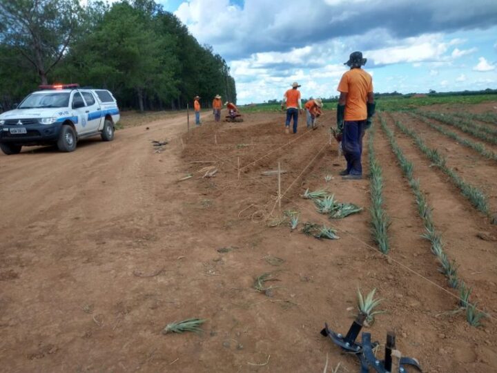 Rondônia atinge primeiro lugar nacional em percentual de reeducandos trabalhando 