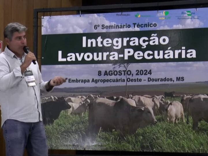 Produtor aprendeu a manejar estilosantes em solo arenoso e colhe benefícios no pasto