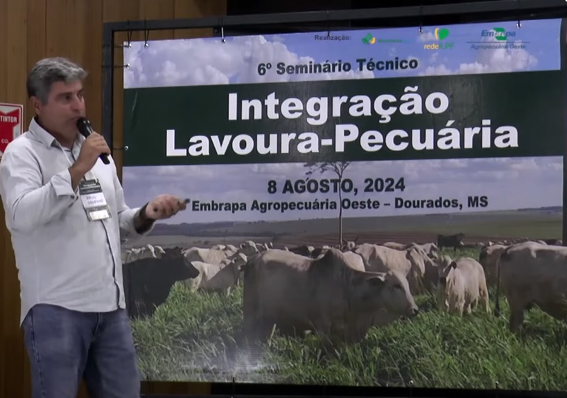 Produtor aprendeu a manejar estilosantes em solo arenoso e colhe benefícios no pasto