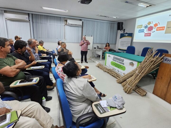 Projeto Reniva é implantado no Amazonas para multiplicar manivas-semente de mandioca