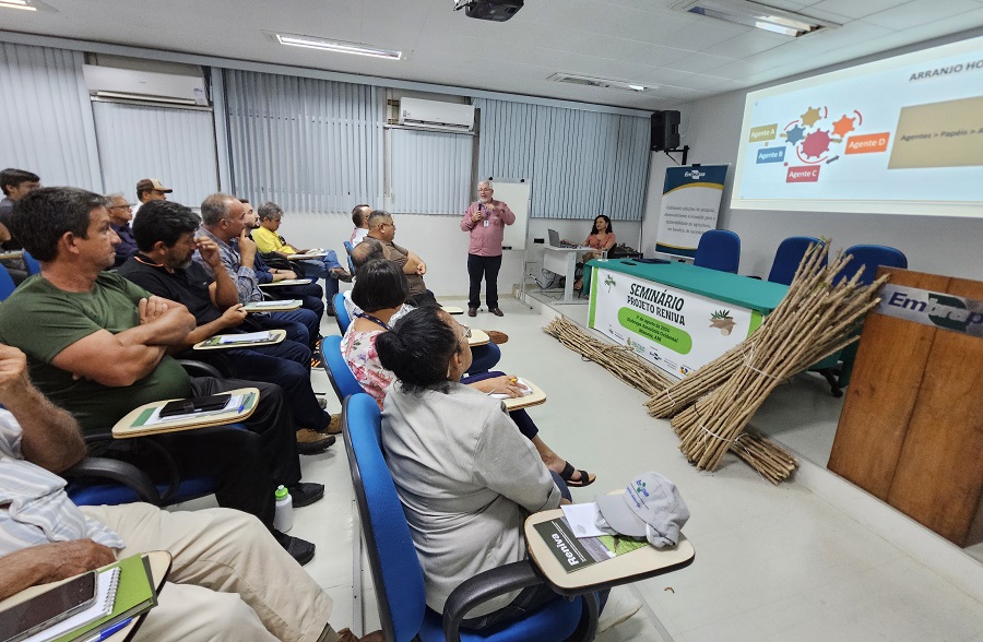 Projeto Reniva é implantado no Amazonas para multiplicar manivas-semente de mandioca