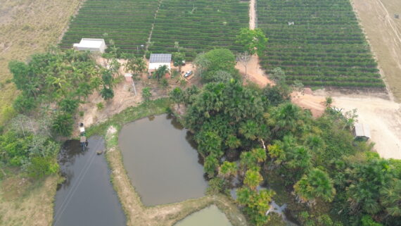 Ações sustentáveis orientadas pelo governo de RO ajudam produtores a superar estiagem severa com produtividade