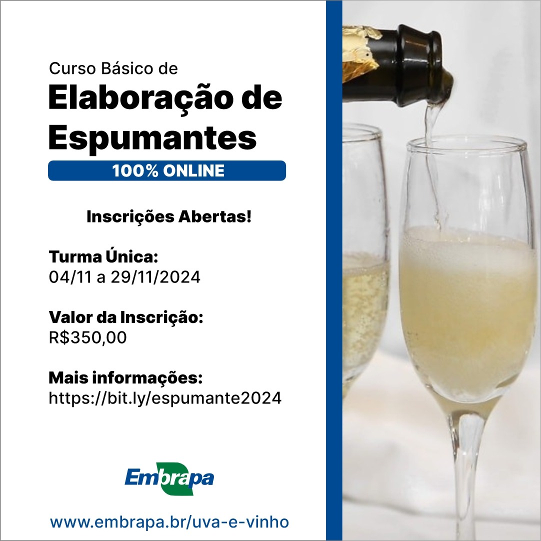 Abertas as inscrições para Curso da Embrapa que ensina a elaborar espumantes