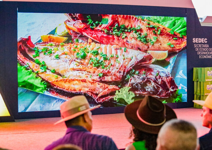 Destaque na segurança alimentar no mercado global, Rondônia registra recorde histórico de exportações