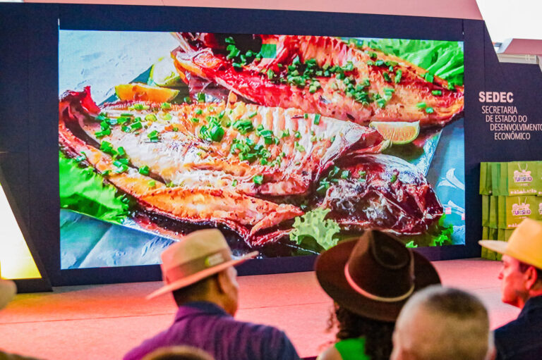 Destaque na segurança alimentar no mercado global, Rondônia registra recorde histórico de exportações