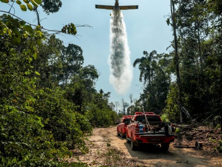 Rondônia alcança menor taxa de desmatamento na Amazônia