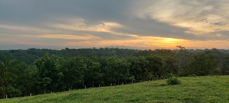 Curso EAD aborda importância de sistemas agroflorestais na Amazônia