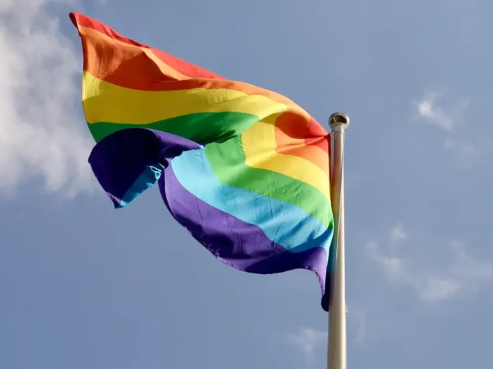 Em 2024, 60% dos projetos de lei sobre LGBT eram a favor da comunidade