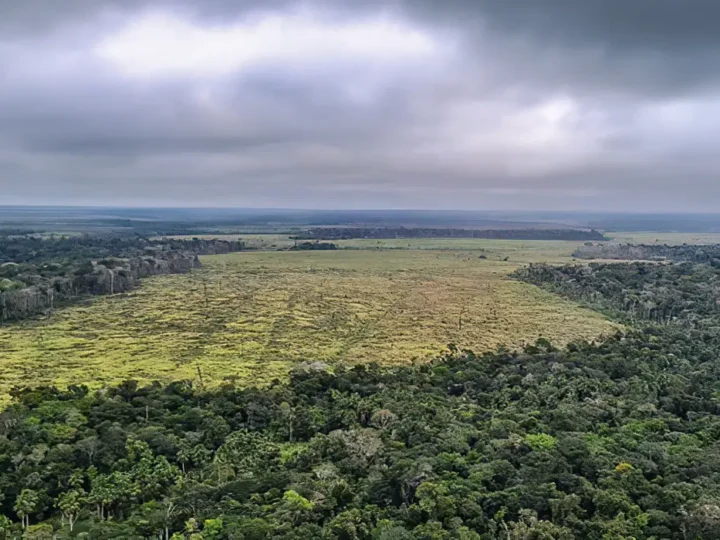 Mato Grosso aprova leis ambientais contrárias à legislação federal