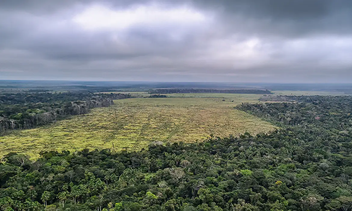 Mato Grosso aprova leis ambientais contrárias à legislação federal