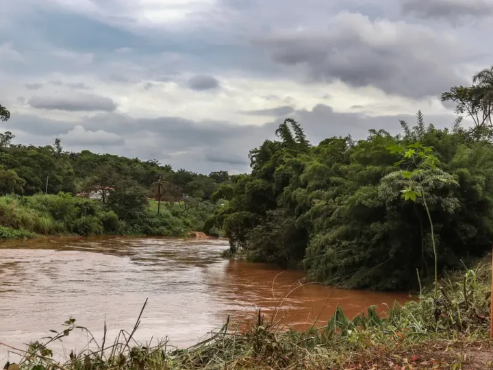 Estudo detecta presença de metais na urina de crianças em Brumadinho