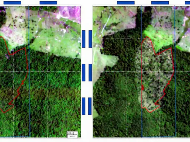 BNDES usa imagens de satélite para barrar empréstimo a desmatadores