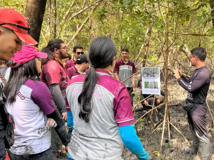 Educação ambiental aproxima estudantes do maior manguezal do planeta
