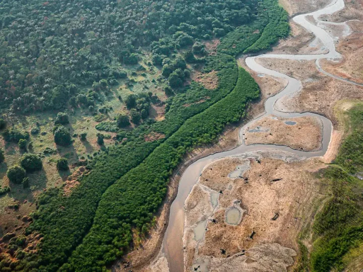 Pesquisa com bactérias na Amazônia pode desenvolver novos medicamentos