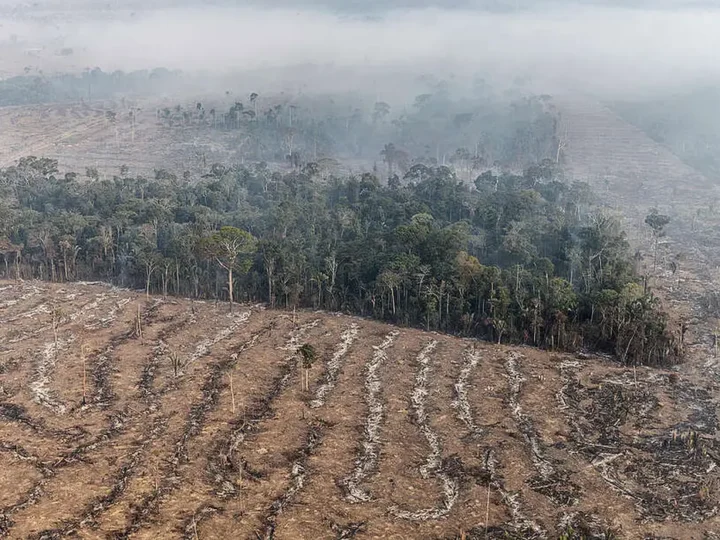 Apenas 7% de ações judiciais de grilagem na Amazônia têm condenação