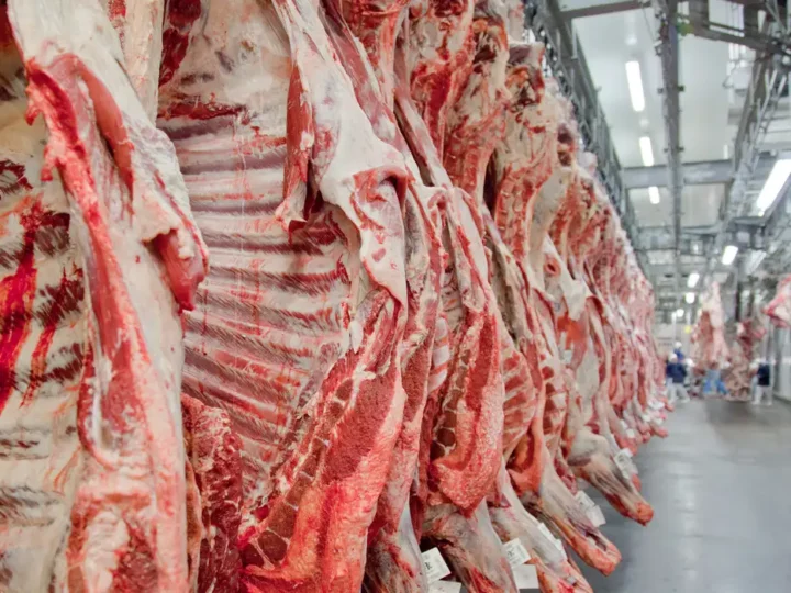 Exportação de carne bovina bate recorde em mês anterior ao tarifaço