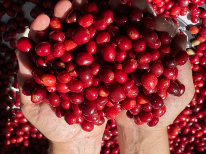 Deputado Jean Mendonça destina recursos para atender agricultores de Nova União