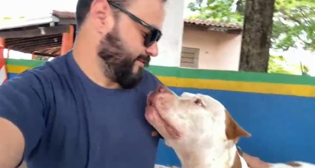 Cão pitbull é resgatado pela PM em Vilhena e brinc acom repórter